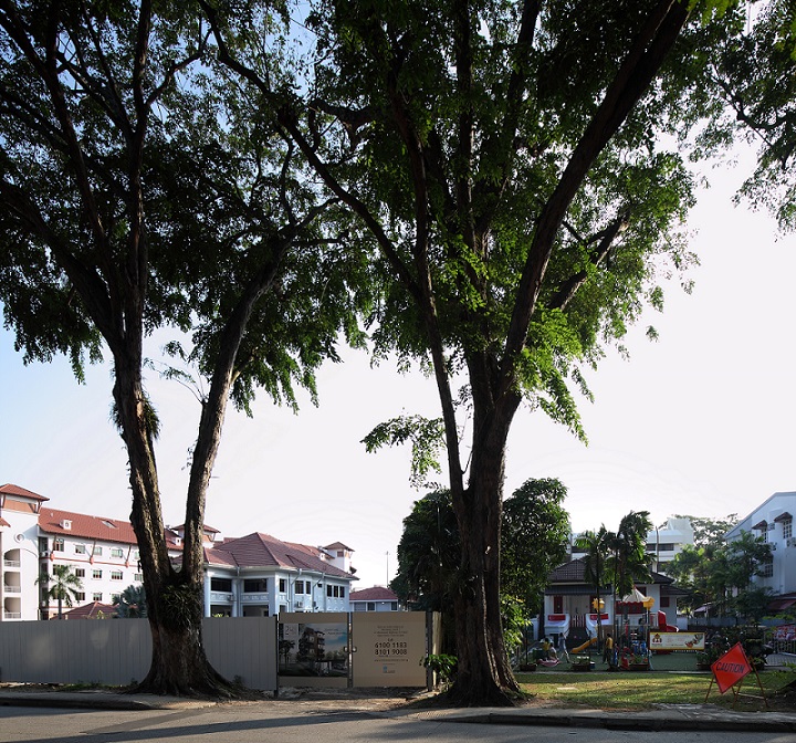 TEE Land will be commencing sales of units at 24 One Residences on Pasir Panjang Road on the weekend of Aug 5 and 6